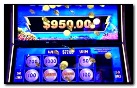 40 Red Bet Casino의 무료 스핀 카지노